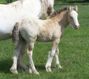 Click for larger image